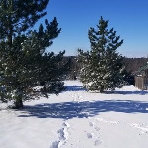 Meet your Posher, Colleen